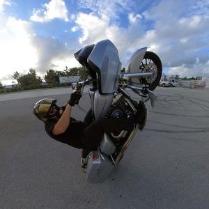 Meet your Posher, Teddy